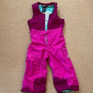 The North Face Pink and Burgundy Snow Bib 2T
